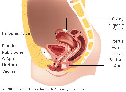 Vaginal Cancer Treatment