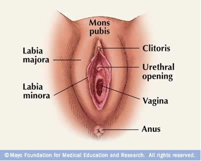 Vulvar Cancer Treatment